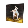 Fondo 16 x 16 in. Happy Pig-Print on Canvas FO2789219